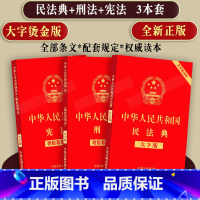 [正版]2023适用 中华人民共和国+民法典+刑法大字版含司法解释法律法规条文附配套规定法律条文烫金版修正案十一1