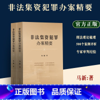 [正版] 2023新书 非法集资犯罪办案精要 上下册 马新 案例评析裁判规则审判专家办案经验 办理非法集资犯罪案件指导