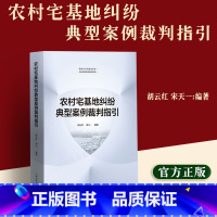 [正版]2023新书 农村宅基地纠纷典型案例裁判指引 胡云红 宋天一 宅基地相关政策法规指引 典型案例 人民法院出版社