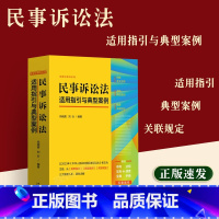 [正版]2023新版民事诉讼法适用指引与典型案例 精解条文适用精选典型案例·精准关联规定修订民事诉讼法中国法制出版社9