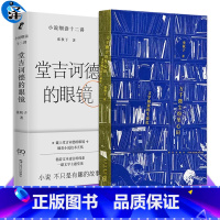 [正版] 张秋子作品2册 万千微尘纷坠心田:文学阅读的生命化+堂吉诃德的眼镜&mdash;&mdash;小说细读十二讲