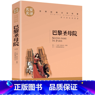 [正版]4本19元巴黎圣母院 雨果 青少年励志文学阅读名著 名家名译完整版全译本