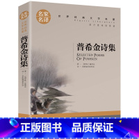 [正版]4本19元 普希金诗集 经典世界文学名著 名家名译完整版全译本 青少年语文阅读书籍