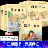 [7本]七上下册必读6本+繁星春水 [正版]城南旧事林海音原著完整版五六年级上下册必读课外书人教版小学课外阅读书籍儿童文