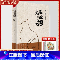 [正版]《班的猫》赠猫咪纸模型 鲁般/著中国科幻银河奖华语科幻星云奖得主重庆出版社科幻小说 人类外星殖民父子和解