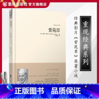 [正版]重现经典系列:紫苑草 经典影片《紫苑草》原著20世纪百大英文小说之一当代城市文学和实验现实主义文学经典之作索尔