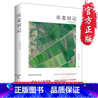 [正版]15.9元 旧书《出麦田记》文学 长篇小说 潘沈斌 出麦田记 乡村 乡土 情感 纯净