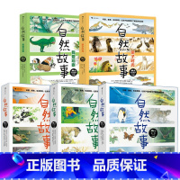 [5册套装] [正版]童书 自然故事(套装共5辑)国际大奖获奖插画家、生物保护学家、著名科普作家等共同创作, 由国际大奖