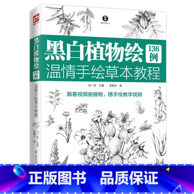 [正版]图书 含章&middot;介于手绘系列:黑白植物绘136例&middot;温情手绘草本教程白一宏江苏凤凰科学技
