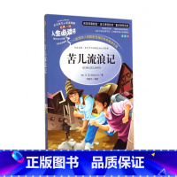 [正版]图书 人生书:苦儿流浪记 (美绘版)(法)马洛|主编:邓敏华9787533041762山东美术