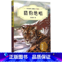 [正版]图书 中外动物小说精品(升级版):猎豹绝唱沈石溪9787539777498安徽少年儿童出版社