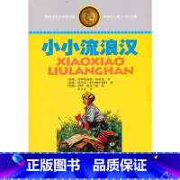 [正版]图书林格伦儿童文学作品集—— 小小流浪汉阿斯特丽德·林格伦9787514809084中国少年儿童出版社