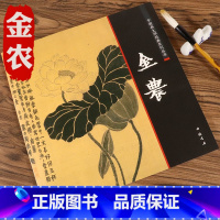 [正版]金农画集画册小品绘画全集中国画大师经典系列丛书历代名家册页名画作品欣赏绘画国画书籍