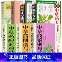 [正版]中草药鉴别与应用中草药图谱与解析配对与禁忌图解中草药大全本草纲目新食疗本草中草药全图鉴中国药材原色图谱中药材大