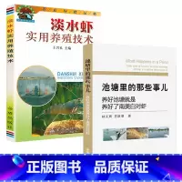 [正版]2册 池塘里的那些事儿+淡水虾实用养殖技术 养虾技术水产养殖书籍对虾养殖技术与疾病防治诊断书养虾水产高效养殖农