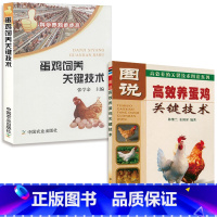 [正版](共2册)蛋鸡饲养关键技术+图说高效养蛋鸡关键技术 鸡场管理高效养蛋鸡蛋鸡品种饲料选择注意事项常见鸡病防治养