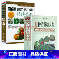 [正版]2册新农村蔬菜种植栽培大全+蔬菜病虫害防治手册大棚蔬菜栽培技术新农村养殖技术大全农作物书籍