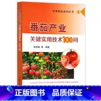 [正版]番茄产业关键实用技术100问 农事指南系列丛书 西红柿小番茄圣女果科学种植技术方法大棚番茄植株养护常见病虫害防