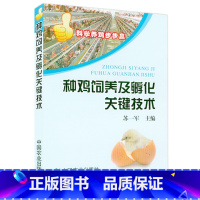 [正版] 种鸡饲养及孵化关键技术种鸡主要品种 种鸡日粮配制技术 种鸡的饲养 种鸡场废弃物的处理和利用 养鸡技术书籍