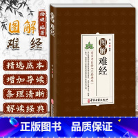 [正版]图解难经 杨健著学习中医的入门经典中医理论价值及临床实用性中医临床入门医学研究参考难经原文白话解校释奇经八脉脉