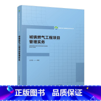 [正版]城镇燃气工程专案管理实务 城镇燃气工程专案管理概述 城镇燃气工程成本管理 城镇燃气工程安全管理 王传惠