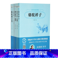 [正版]全译完整版名著导读 海底两万里骆驼祥子城南旧事朝花夕拾湘行散记 初中生原著七年级初中版学生