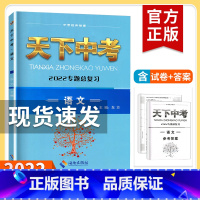 语文+英语 初中通用 [正版]天下中考语文2022专题总复习武汉初中89八九年级中考资料总复习专题训练初二三中考语文阅读