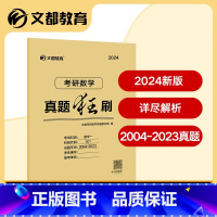 真题狂刷 数学一2004-2023 [正版]文都备考2024考研数学公式手册手册 2024考研数学公式概念考研数学一二三