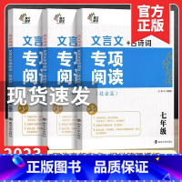 文言文+古诗文 专项阅读 九年级/初中三年级 [正版]初中课外文言文古诗词阅读训练七八九年级 初中文言文专项阅读技法篇