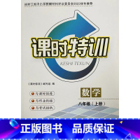 八 上 数学 课时特训 初中通用 [正版]经浙江省中小学教辅材料评议委员会2023学年 课时特训 数学 8 八年级 上册