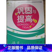 语文 六年级上 [正版]巩固与提高 小学语文 6 六年级 上册 浙江教育出版社