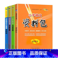 小学资料包 语数英综合素质共4本 小学升初中 [正版]2022版 68所教学教科所 小学资料包 语文+数学+英语+综合文