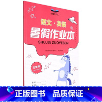 暑假作业本 语文·英语 三年级 小学三年级 [正版]2022版暑假作业本 语文英语 三年级/3年级 浙江教育出版社 小学