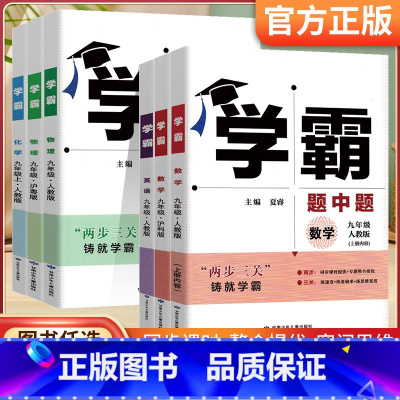 化学[人教版] 九年级下 [正版]2023学霸题中题九年级上下册全一册数学英语物理化学七年级八年级上册下册初三初中课堂作