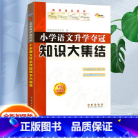 语文升学夺冠知识大集结 小学升初中 [正版]2024版小学语文数学英语小学毕业升学夺冠知识大集结小升初知识考点大全专项训