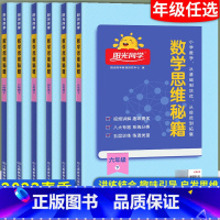 数学思维秘籍 一年级下 [正版]2023春新版阳光同学数学思维秘籍训练一二三年级四五六下册小学数学思维能力培养数学逻辑拓