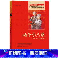 [正版]两个小八路书籍李心田三四五六年级阅读红色经典小学生革命传统教育读本爱国主义精神少年2个八路军励志故事绘本全套丛