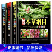 [精装新版-组合更划算]本草纲目+中草药+中国药典中药全3册 [正版]全书实拍本草纲目精装JST中草药图谱本草纲目原版全