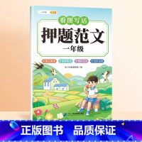 [热卖!抖音同款]看图写话押题范文 小学一年级 [正版]看图写话一二年级押题范文大全一年级二年级上册人教版JST每日一练