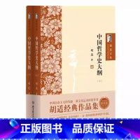 [正版]胡适文集全集2册 中国哲学史大纲JST 胡适经典作品集 人生有何意义系列 感受真实的胡适 倾听震撼的声音 哲学