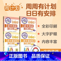 基础知识+阅读2年级上下册 小学通用 [正版]2年级语文基础知识+阅读4本套装 周计划小学语文基础知识强化训练全彩护眼版