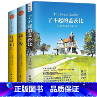 世界文学名著小说 [正版]3册 简爱书籍呼啸山庄 了不起的盖茨比 外国世界文学名著小说 世界名著叶洋文化