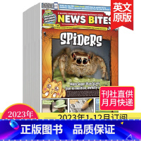 [2023整年预订]1-12月刊/每月快递 [正版]单期/打包/订阅News Bites新加坡儿童英语报杂志2023/2