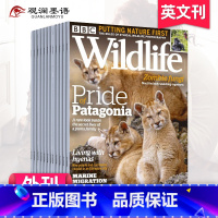 全年12期订阅(默认从9月起订) [正版]单期/订阅BBC Wildlife 动物 2023/24年订阅12期 英国自