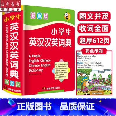 [正版]小学生英汉汉英词典彩色版字典英语中小学生学习中英文互查工具书教辅音标英译汉汉译英双译解新编学生英汉词典书店