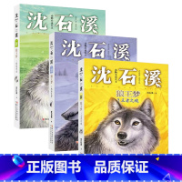 (全三册)狼王梦动物小说大王狼王梦 [正版](全三册)狼王梦123绝境重生/魂断荒野/王者之魂沈石溪注音读本动物小说大王