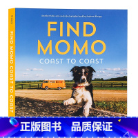 寻找莫莫海滩 [正版]find momo 寻找莫莫 lets find momo 让我们找到莫莫 英文原版绘本 狗狗高清