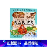 [正版]进口英文原版 绘本 Amazing Animal Babies神奇的动物宝宝 平装大开 儿童启蒙平装图画书