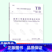 [正版]TB 10218-2019铁路工程基桩检测技术规程2019年8月1日实施代替TB 10218-2008中国铁道