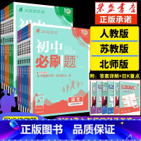 [-人教版]九年级全套7本 九年级下 [正版]全套任选2024初中必刷题下册上册七年级八.九.年级数学语文英语物理政